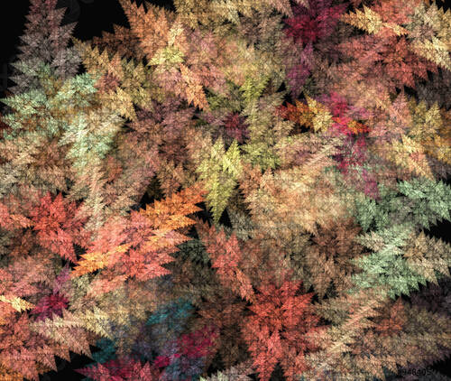 Fractales couleurs automne