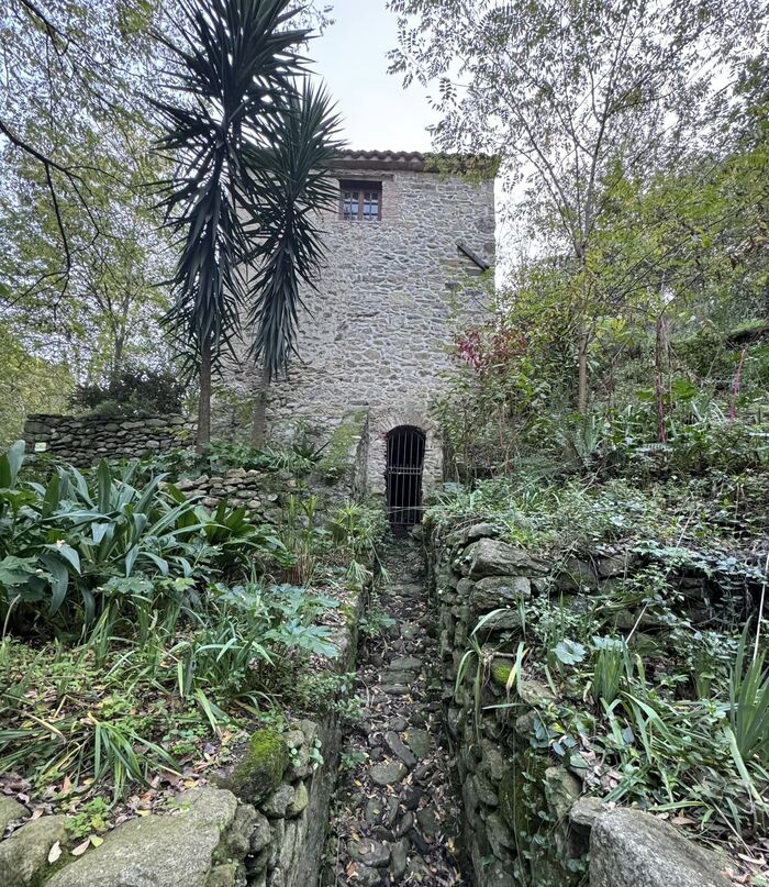 Une des nombreuses randonnées à Laroque des Albères