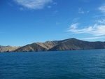 Wellington - Picton - Nelson 