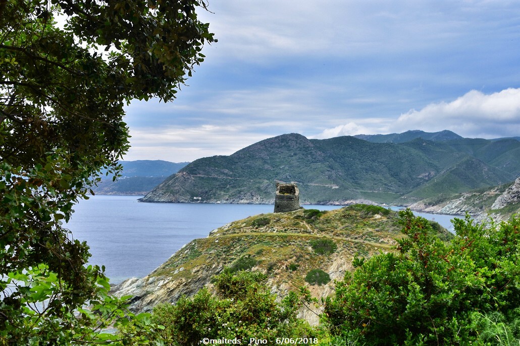 Tour de Scalo - Pino - Corse