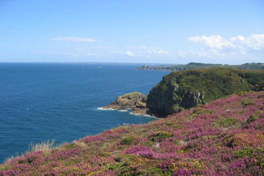 Le cap Fréhel - 2ème partie