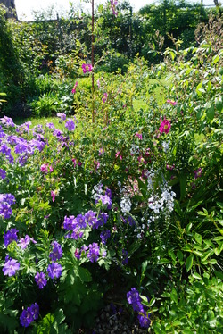 Le jardin de Bénédicte