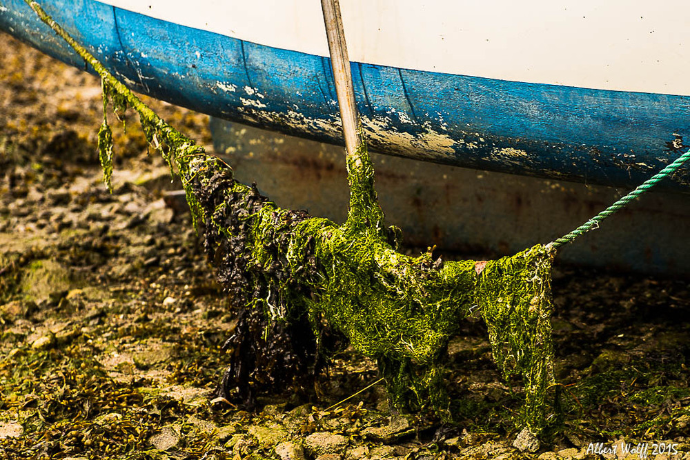 Pot pourri breton