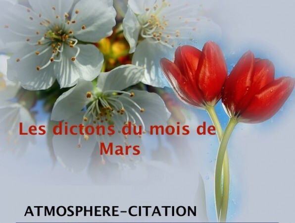 atmosphere-citation_mars-2015 2