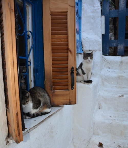 Balade à Athènes