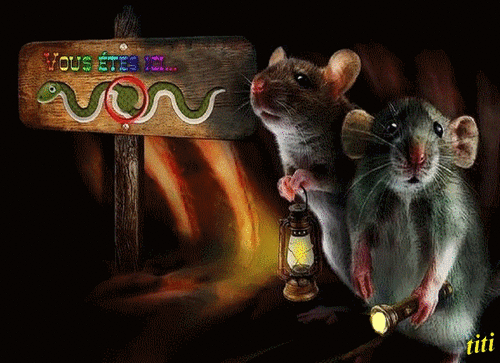 Histoires de souris