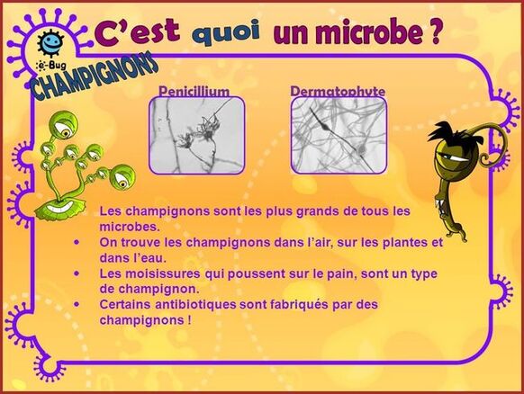 Microbes/Bactéries.