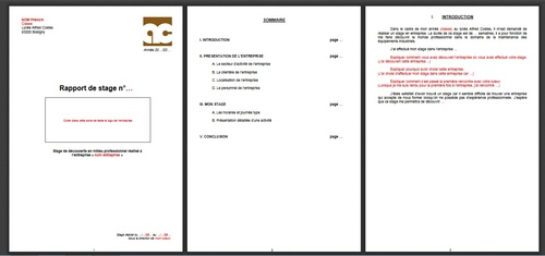 Exemple de rapport de stage MEI .doc .pdf