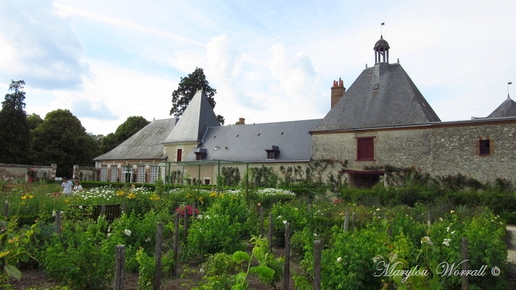 Cheverny : Le parc et les jardins