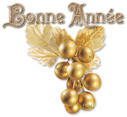 BONNE ANNEE 2017