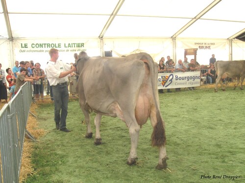 Les Journées Châtillonnaises 2009