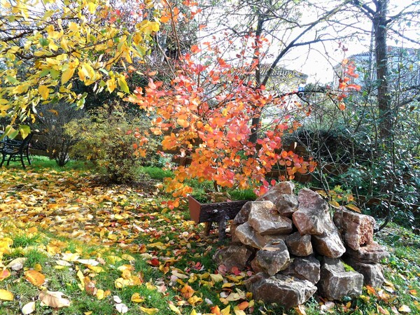 Vendredi  septembre