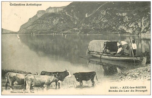 14 - Encore des cartes postales, avec des vaches