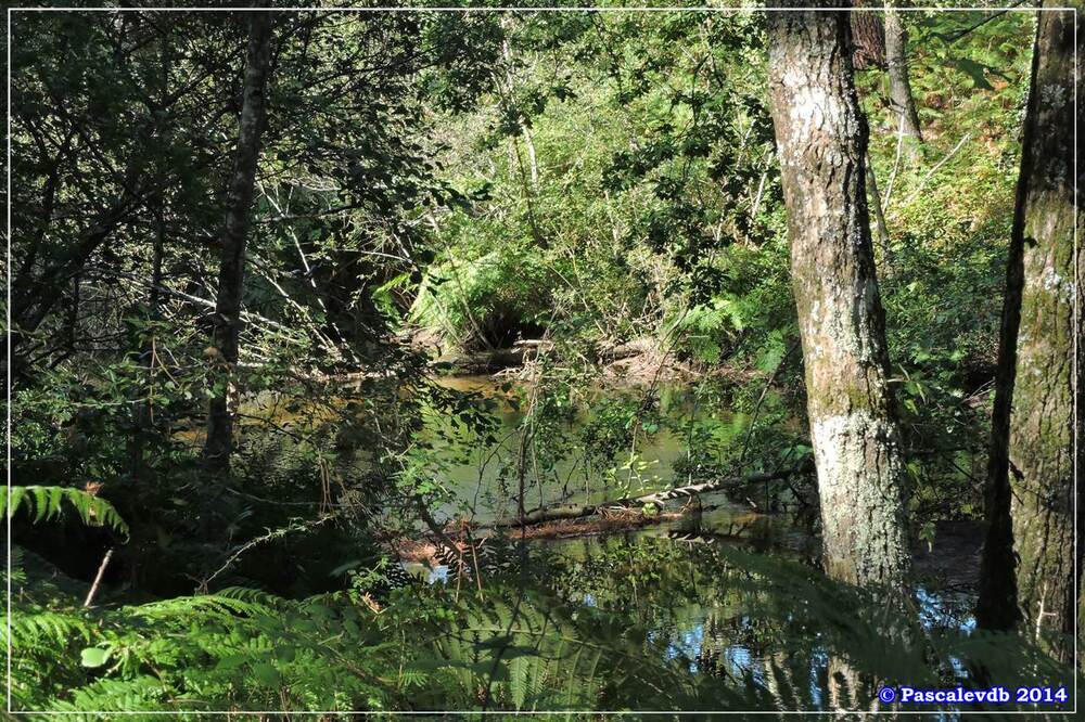 Parc de la Chêneraie à La Hume - 7/9