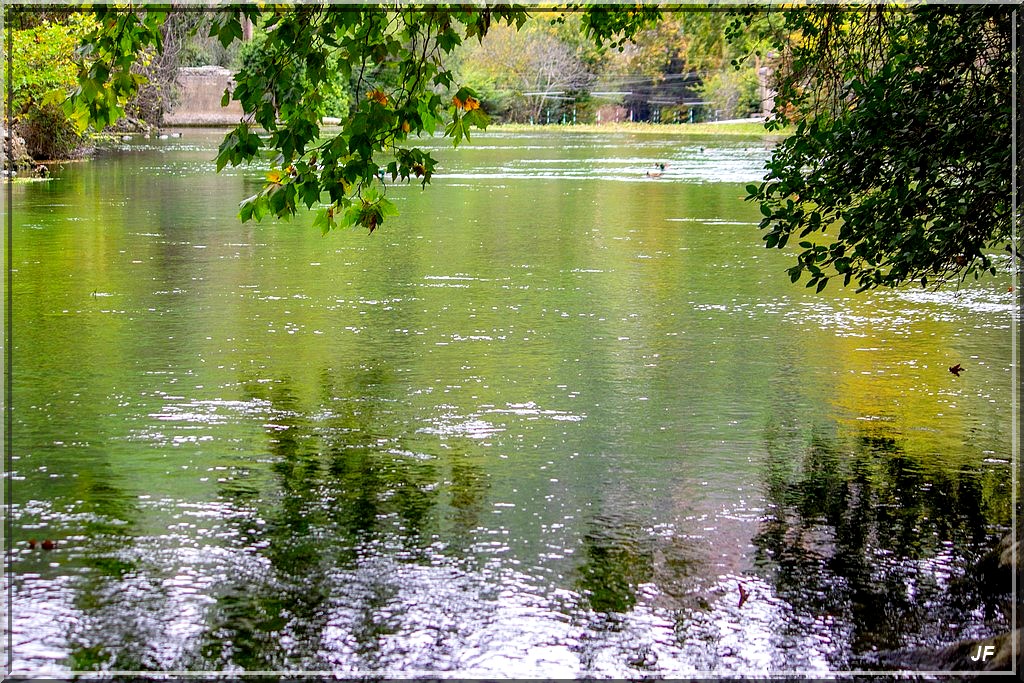 1026 - Fontaine de Vaucluse (84)