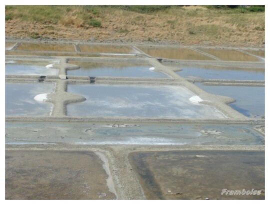 Salines de Millac Les Moutiers en Retz