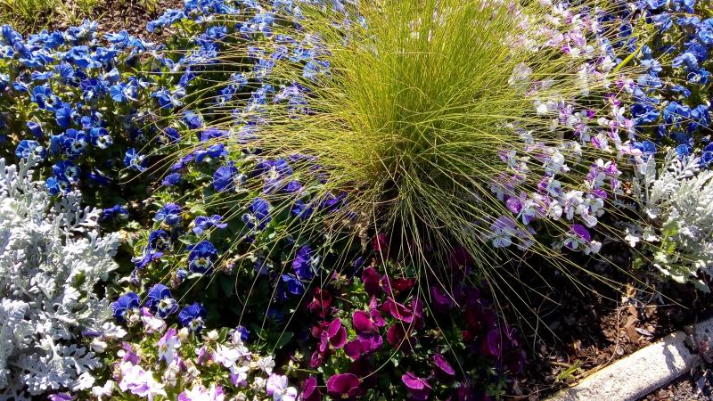 un lundi en couleur (Bleue-Blanc)