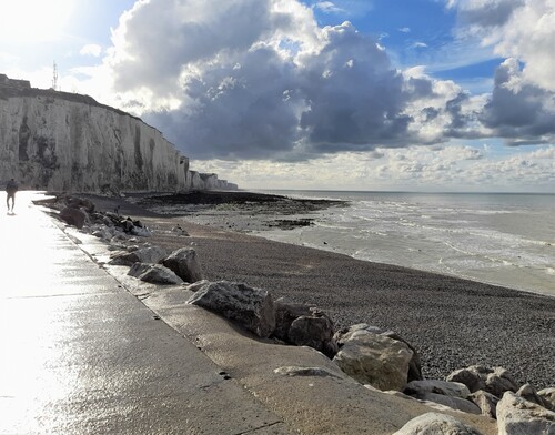 Les falaises d'Ault et le Bois de Cise