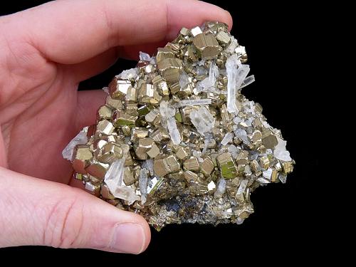 Pyrite avec Quartz