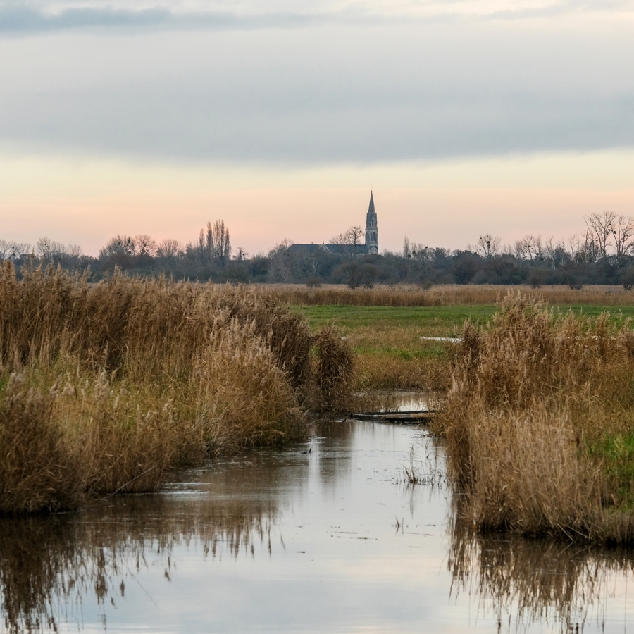 La Brière: le port et le canal de Rozé.