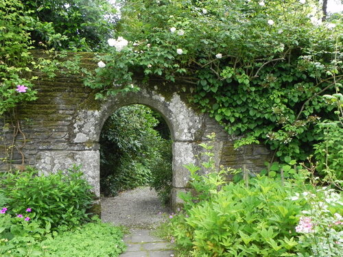 Le jardin de la rue du Lin 