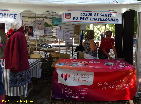 Le Forum des Associations Châtillonnaises 2023 a eu lieu sur le site de la Douix