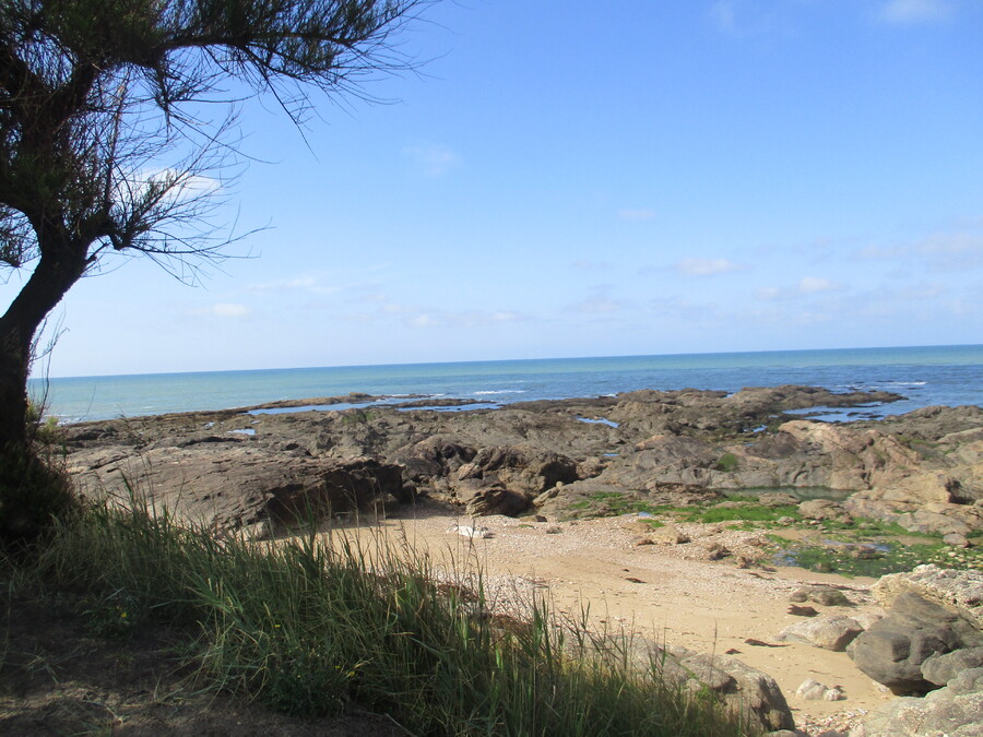 LA   CHAUME   AUX   SABLES   D'OLONNE   JUIN   2019   (4)