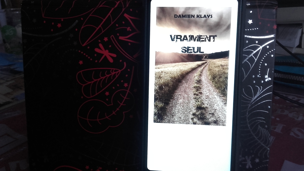 Vraiment seul (Damien Klays)