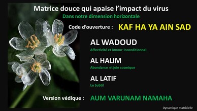 Matrices douces qui apaisent l'impact du l'impact du virus et nous replace dans notre verticalité