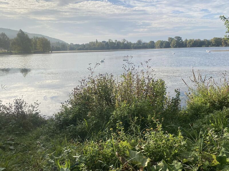 Promenade matinale au lac d'Acquigny