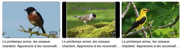 Les oiseaux de la forêt et leurs chants, présentés magnifiquement par la Maison de la Forêt....