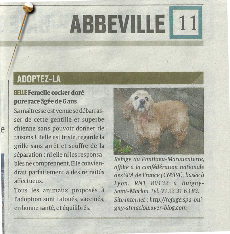 Belle - Article du Courrier Picard