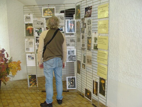 L'exposition mycologique à Châtillon sur Seine