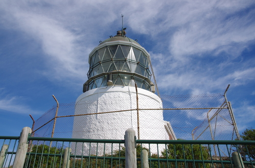 Nouvelle-Zélande #11 de Dunedin à Bluff - Les Catlins 