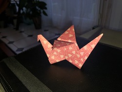 Origami challenge