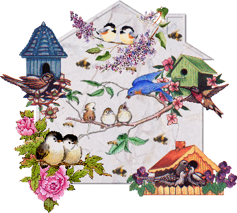 Afficher l'image d'origine