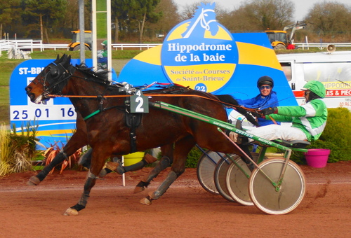 Hippodrome de la Baie Yffiniac - Réunion du 25 Janvier 2016