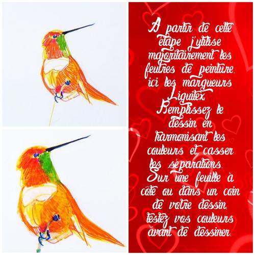 Dessin et peinture - vidéo 3288 : Comment apprendre à dessiner un oiseau coloré ? - technique mixte.