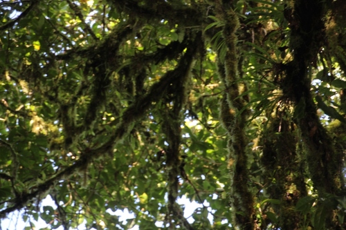 Parc national de Santa Elena