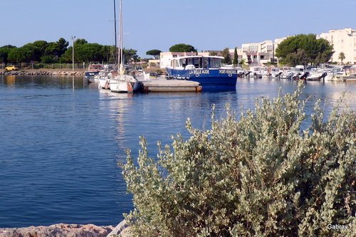 Au bord du lac du Barcarès