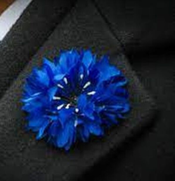 Armistice du 11 Novembre  :Chrysanthème et bleuet deux fleurs symbole 
