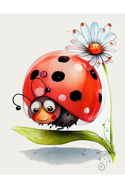 Coccinelles