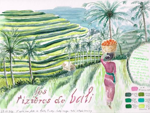 Les rizières de Bali, aquarelle