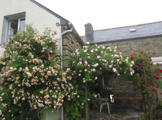 L'arche aux roses