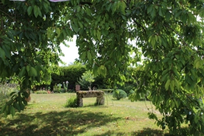 La même vue au fil des saisons