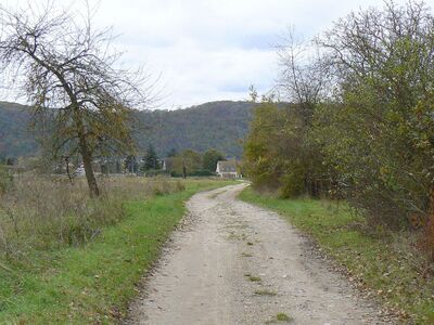 Les coteaux de la Seine