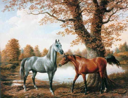 Belles images de chevaux