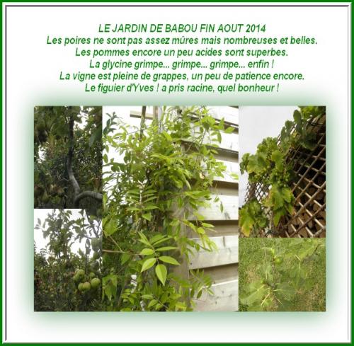 AOUT 2014 DU 10 AU 31