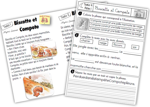 Biscotte Compote : tapuscrit et fiches de lecture CP