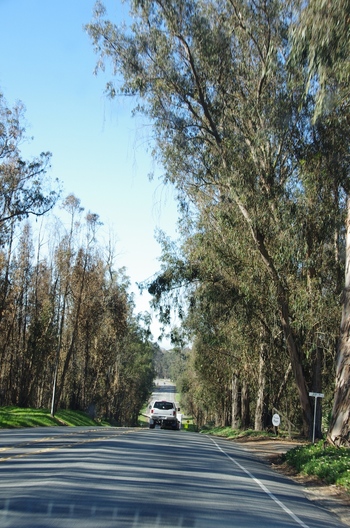 La Californie, côté campagne